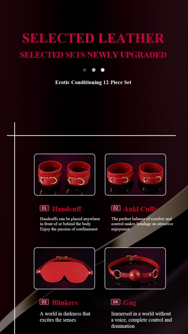 12-Piece Electroshock BDSM Set - Image 4
