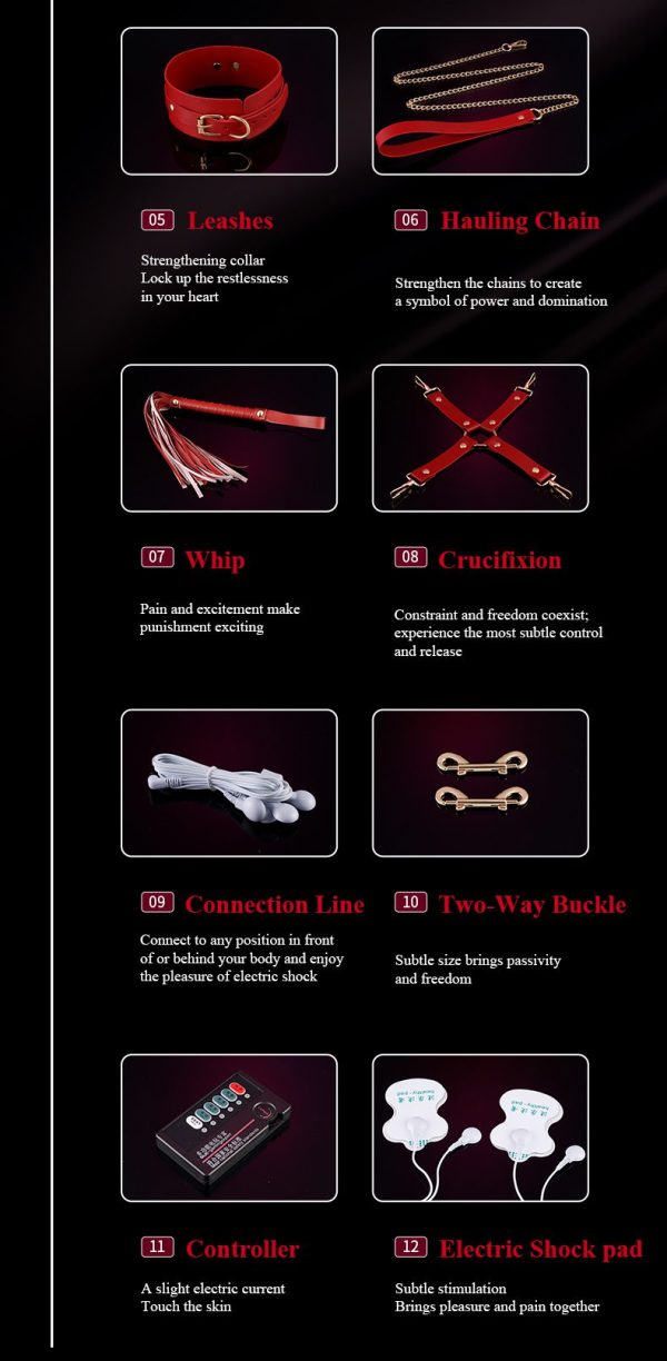 12-Piece Electroshock BDSM Set - Image 5
