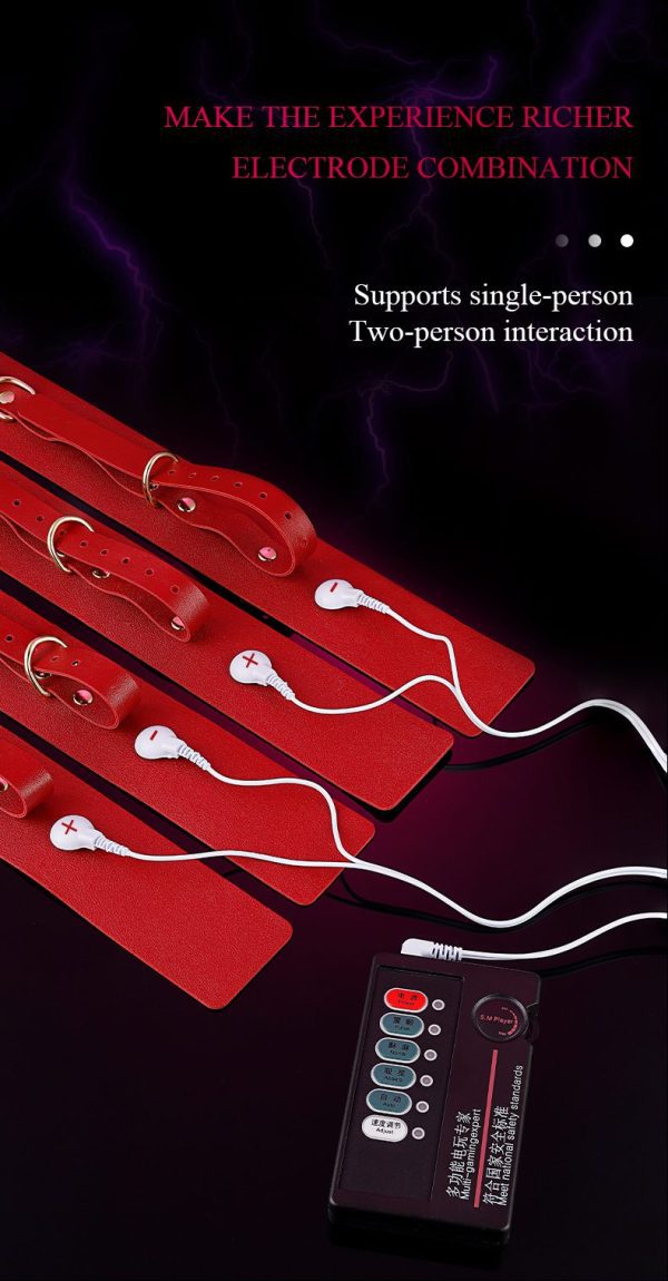 12-Piece Electroshock BDSM Set - Image 12